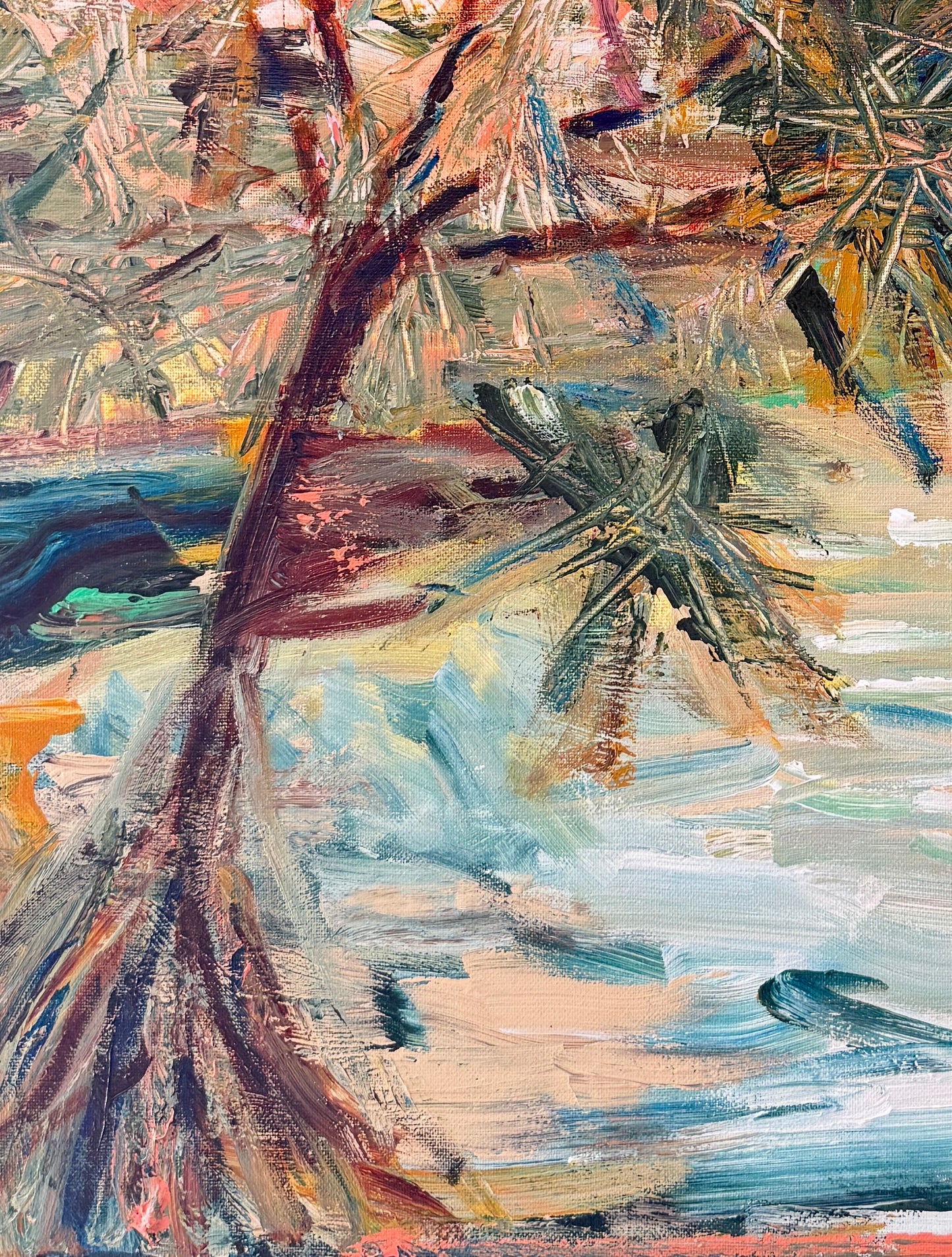 Pandanus With Plans