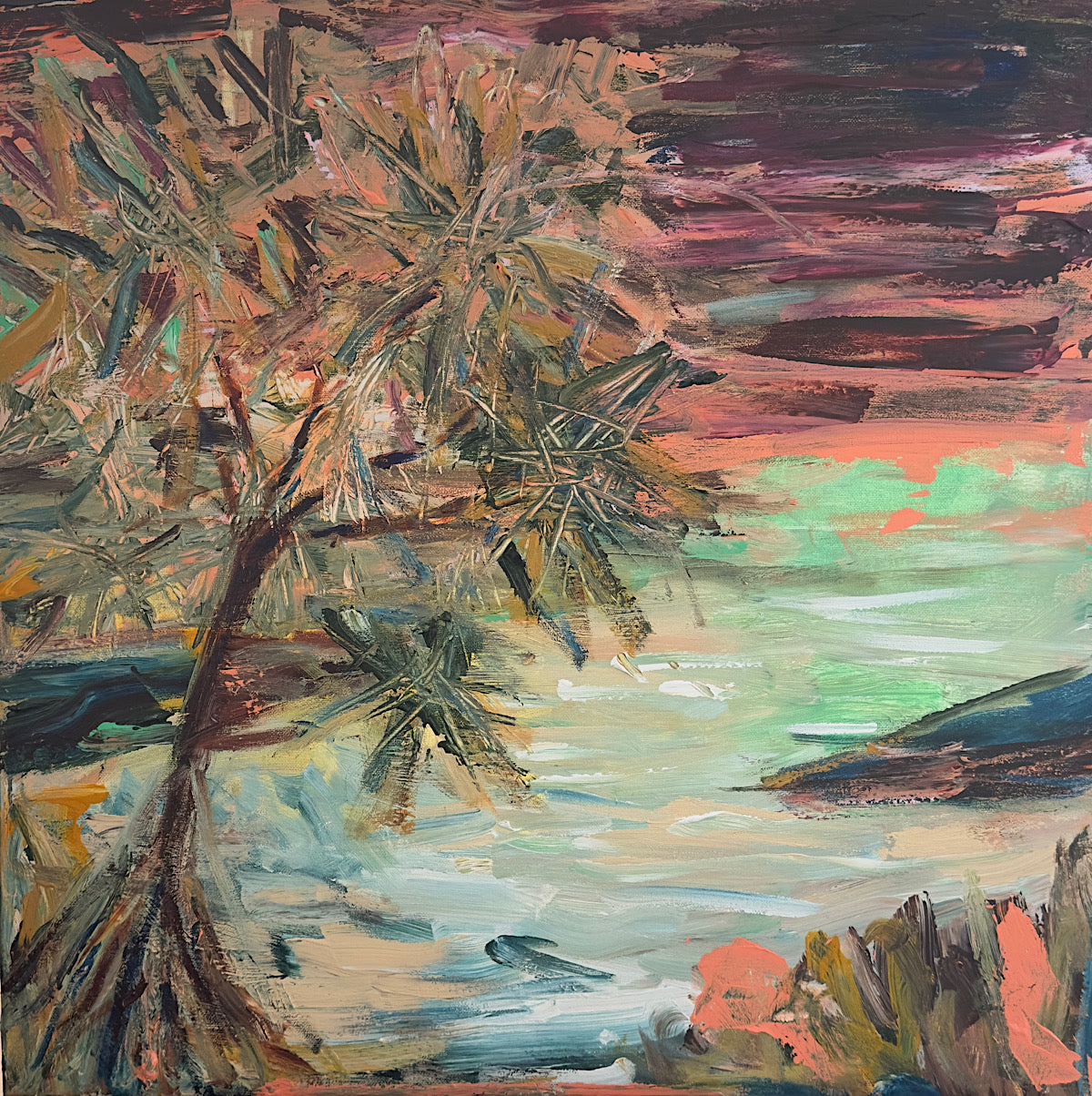 Pandanus With Plans