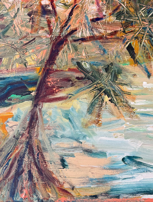 Pandanus With Plans