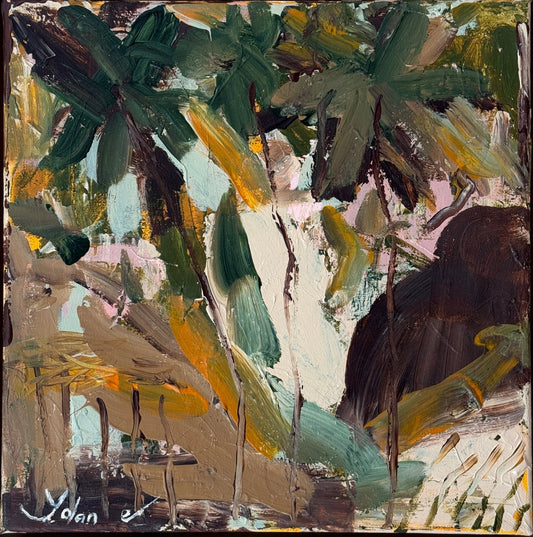 Palm Curtain, Tamborine Mountain